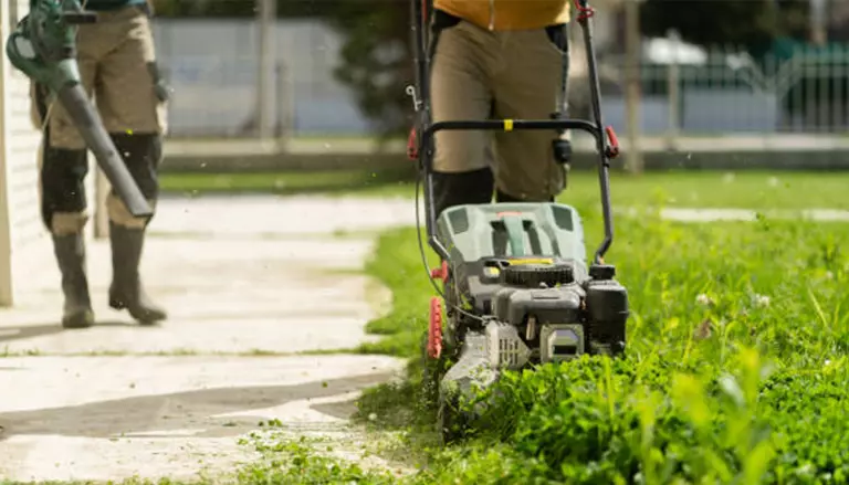 Lawn Care